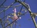 07flowerbird