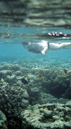 43snorkel