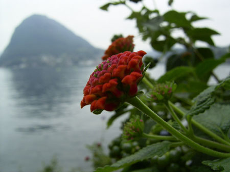 23_Lugano3