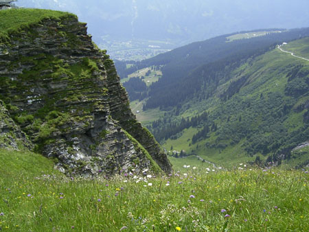 34_Grindelwald