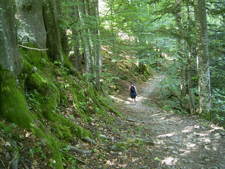 44_On_a_hike