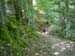 44_On_a_hike