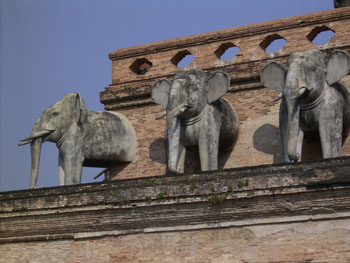 03_wat_chediluang1