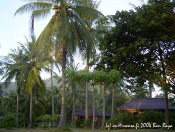 02_morning