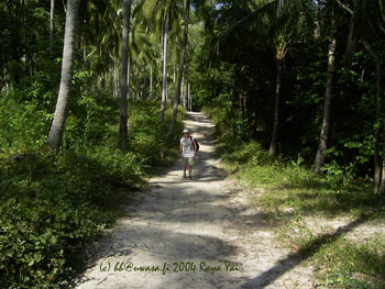 04_island_road