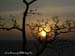 01_sunrise