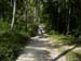 04_island_road