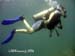 15_diving