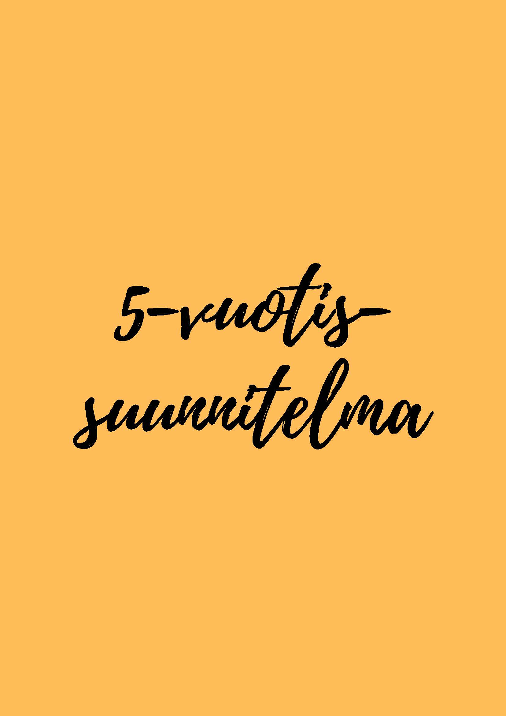 5-vuotis suunnitelma